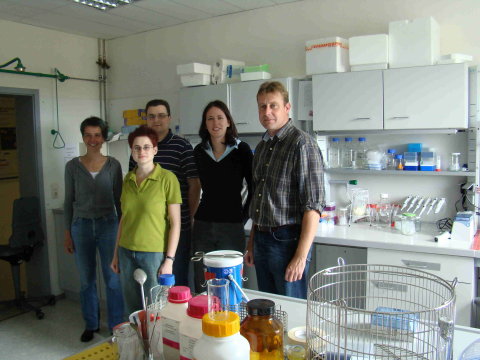 das neue Projekt-Team